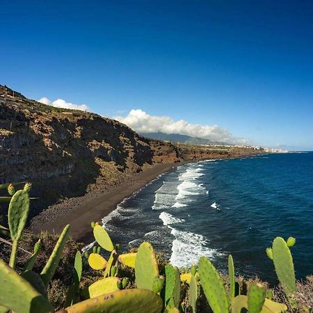 Dragos Del Mar , Espacio Natural La Orotava Esterno foto