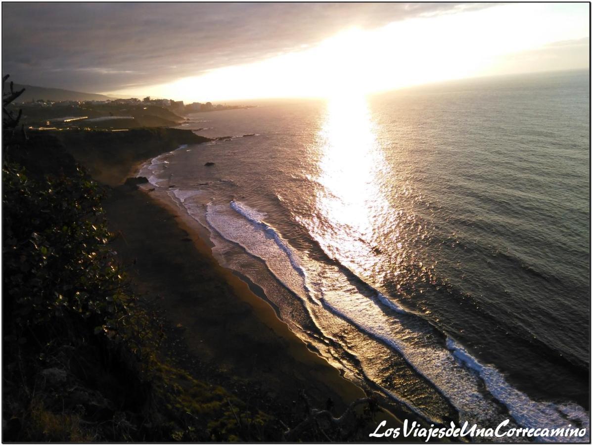 Dragos Del Mar , Espacio Natural La Orotava Esterno foto