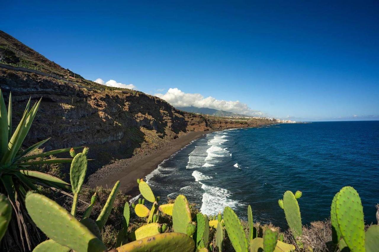 Dragos Del Mar , Espacio Natural La Orotava Esterno foto